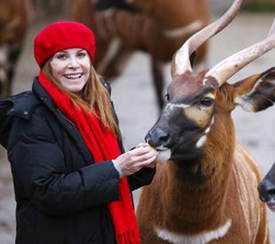 FanSource Stefanie Powers